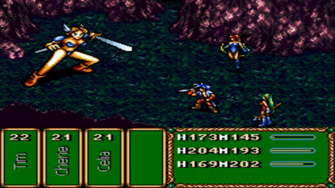 Brave Battle Saga - The Legend of The Magic Warrior screenshot 2