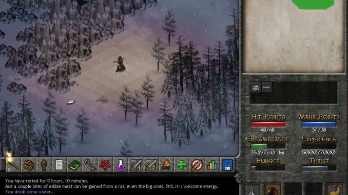 Eschalon Book II screenshot 2